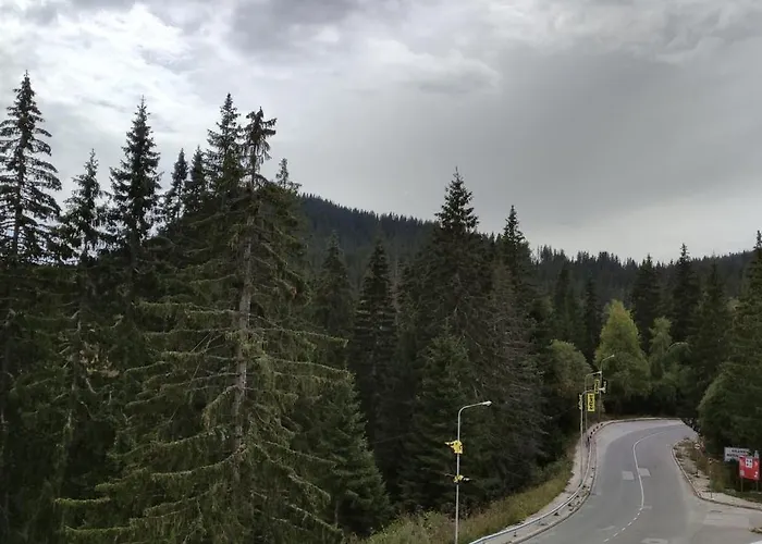 Sunny&relax The Castle 2 *